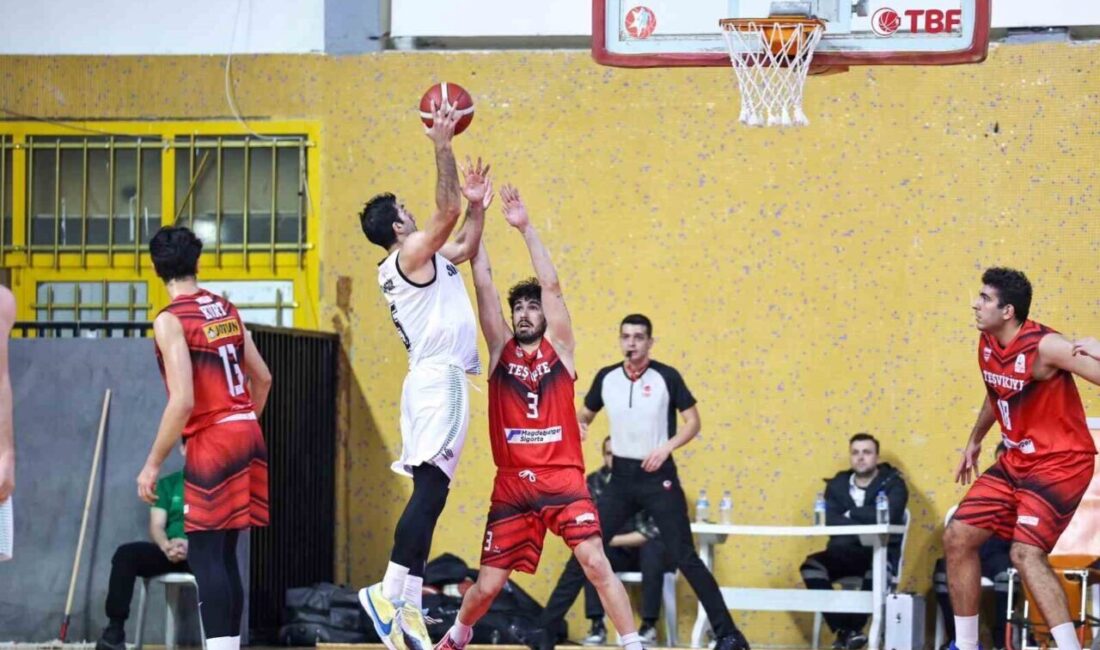 Sakarya Büyükşehir Basketbol Takımı, 12. Haftada Gemlik ile Karşılaşacak Sakarya Büyükşehir Basketbol takımı, Türkiye Erkekler Basketbol 2. Ligi'nin 12.
