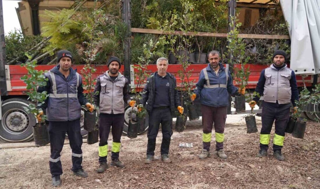 Mersin Büyükşehir Belediyesi, Adıyaman’a 8 bin fidan ve süs bitkisi gönderdi Mersin Büyükşehir Belediyesi, Adıyaman'a 8 bin fidan, süs bitkisi ve