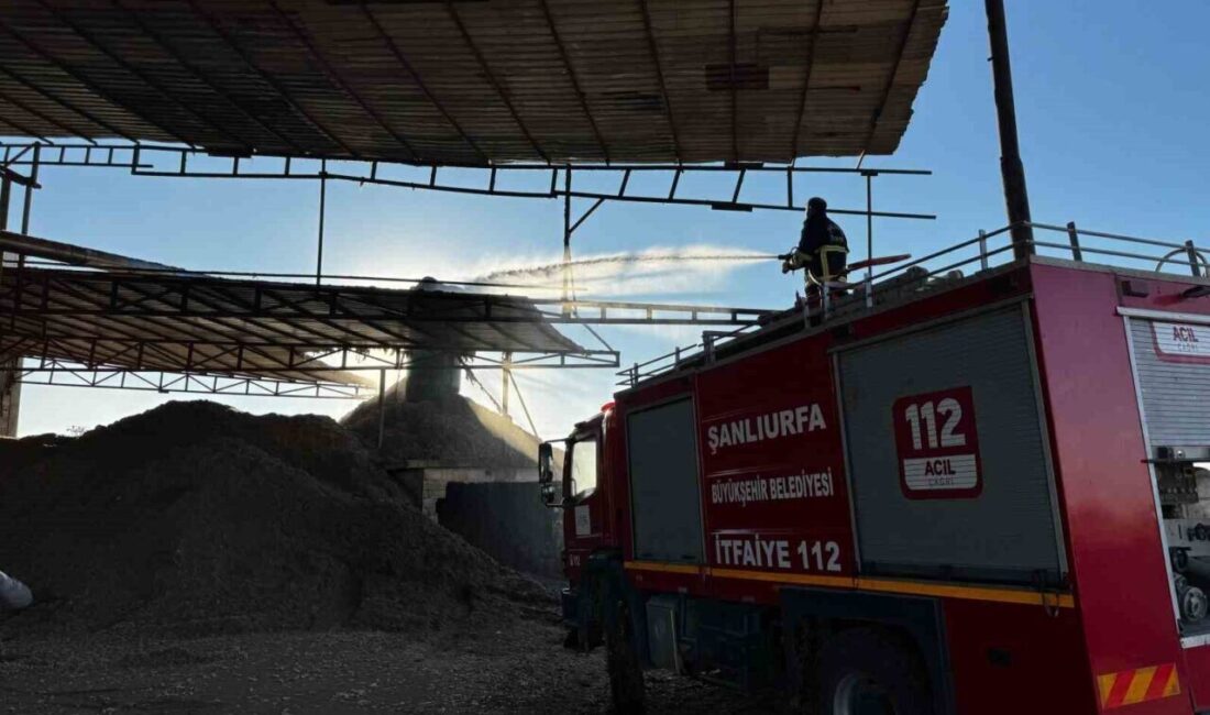 Harran’daki Çırçır Fabrikasında Yangın: Tonlarca Pamuk Zarar Gördü Şanlıurfa'nın Harran ilçesindeki bir çırçır fabrikasında çıkan yangında tonlarca pamuk