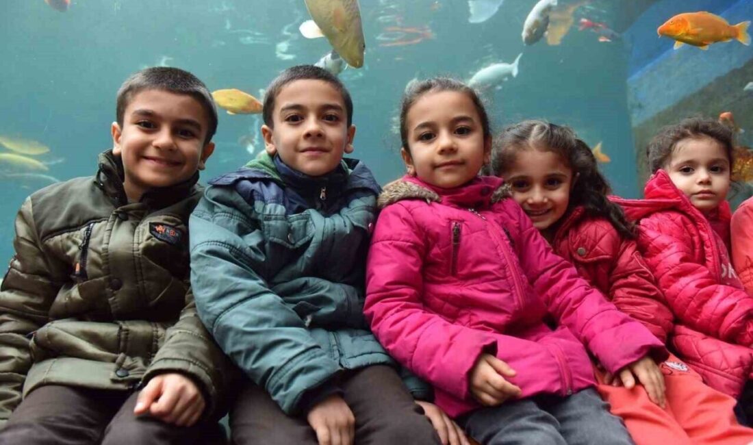 Yıldırım Belediyesi, Sömestir Tatilinde Kaplıkaya Cazibe Merkezi Tünel Akvaryumu’nu Öğrencilere Ücretsiz Sunuyor Yıldırım Belediyesi, sömestir tatili boyunca öğrenciler için 'Karne Sizden Akvaryum