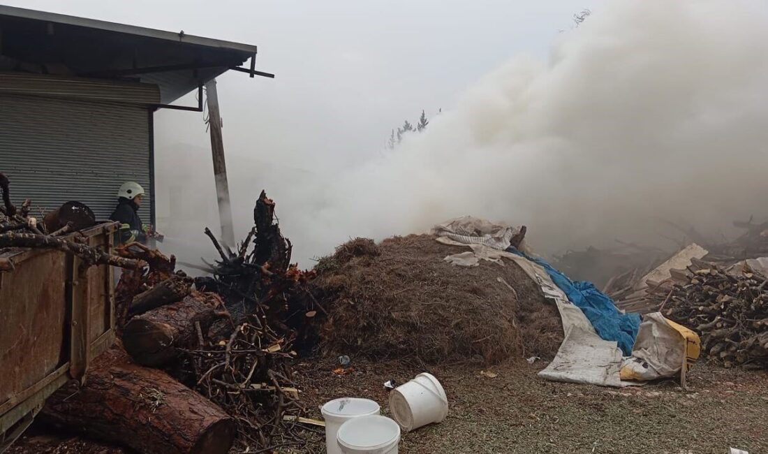 Hatay’da odunlukta meydana gelen yangın, itfaiye ekiplerinin müdahalesiyle söndürüldü. Hatay'ın Antakya ilçesindeki bir iş yerinin odunluğunda çıkan yangın, itfaiye
