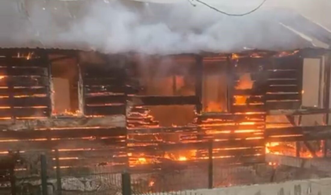Bolu’da İki Barakanın Yandı, Yangın Korkuya Sebep Oldu Bolu'nun Sümer Mahallesi'nde, kimsenin yaşamadığı iki baraka yangında kül oldu.
