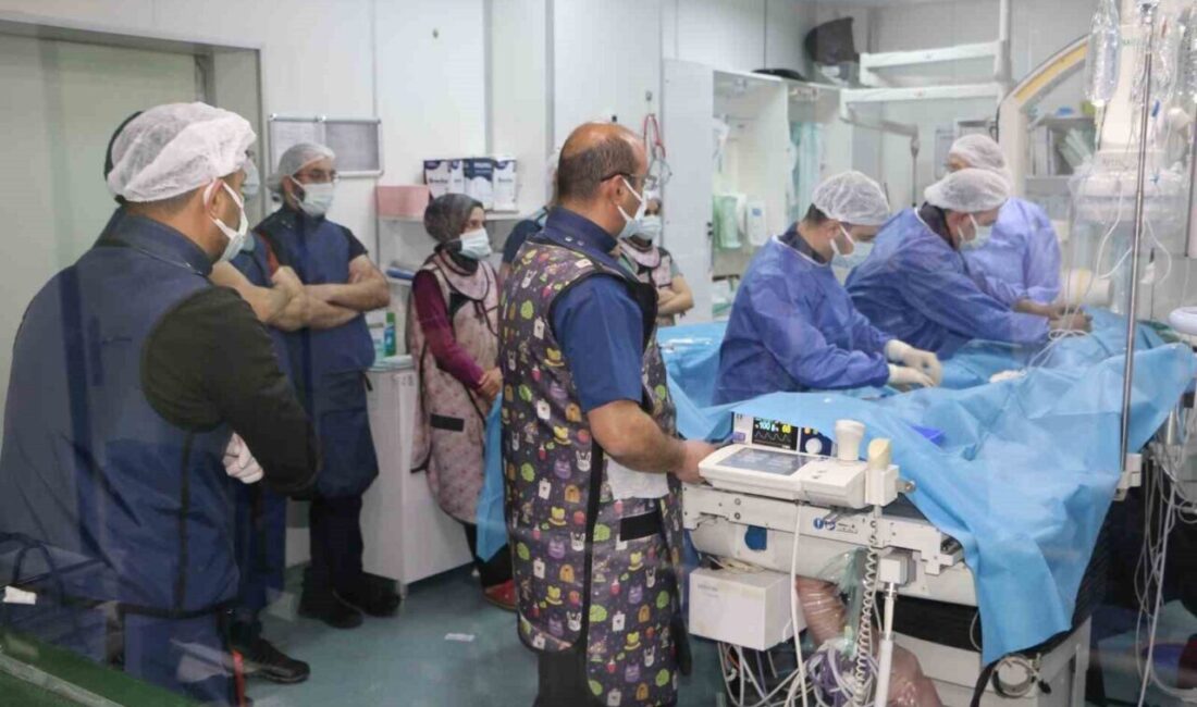 Diyarbakır’da Çocuk Kalp Merkezi’nde Deneyimli Kardiyoloji Uzmanları Bir Araya Geliyor Diyarbakır Gazi Yaşargil Eğitim ve Araştırma Hastanesi Çocuk Kalp Merkezi,