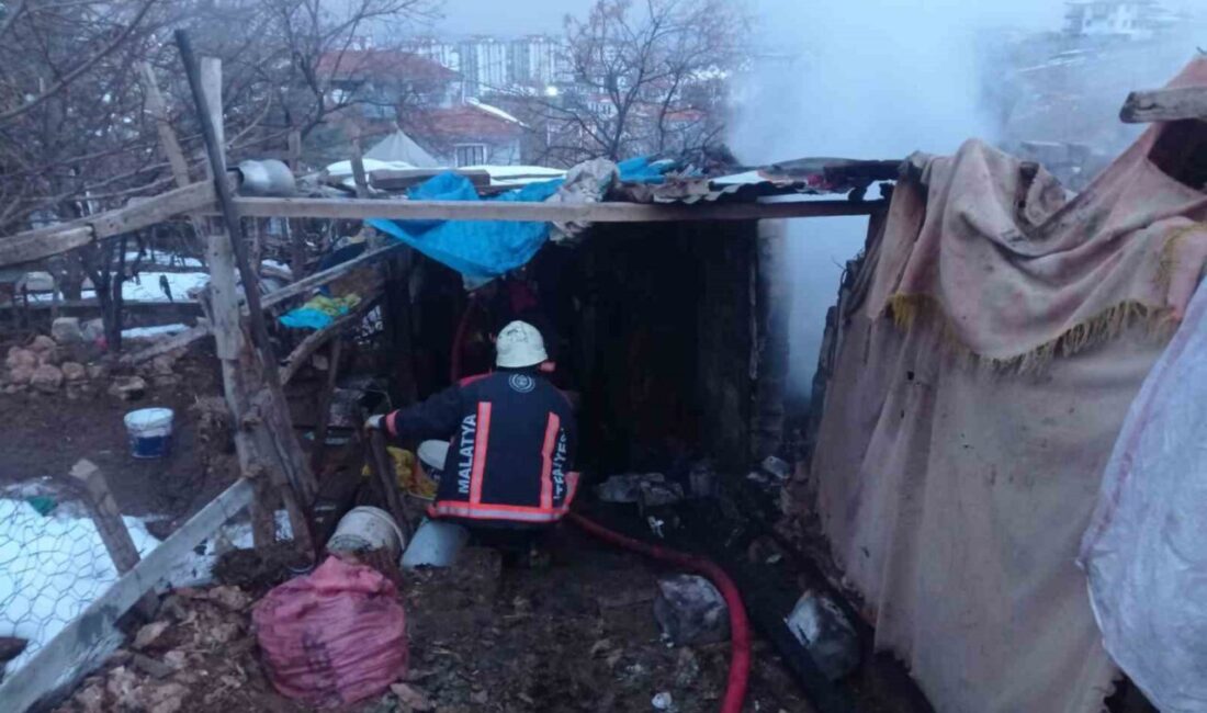 Malatya’nın Yeşilyurt İlçesinde Ahır Yangınında 25 Küçükbaş Hayvan Can Verdi Malatya'nın Yeşilyurt ilçesinde bir ahırda çıkan yangında 25 küçükbaş hayvan