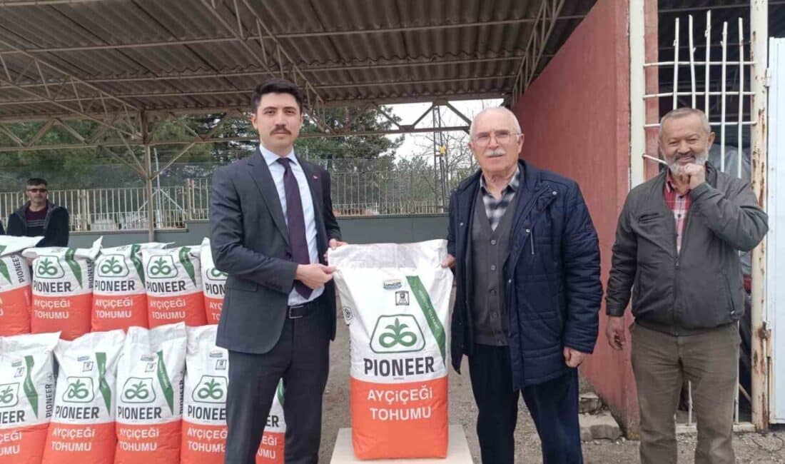 Pazaryeri’nde Çiftçilere 1.920 Kilogram Ayçiçeği Tohumu Dağıtıldı Bilecik'in Pazaryeri ilçesinde, 79 çiftçiye 1.920 kilogram yağlık ayçiçeği tohumu