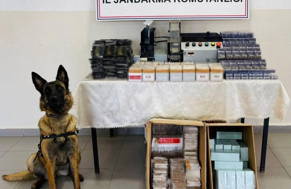Düzce’de Yapılan Denetimlerde Kaçak Tütün ve Dinamit Ele Geçirildi, 14 Kişiye İşlem Yapıldı Düzce'de son bir haftada düzenlenen denetimlerde 7 dinamit, 75 bin