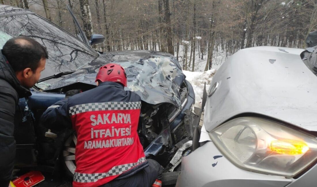Sakarya İtfaiyesi, Şubat 2025’te 700 İhbarda Kritik Müdahale Gerçekleştirdi Sakarya Büyükşehir Belediyesi İtfaiye Daire Başkanlığı, Şubat 2025'te 700 ihbara,