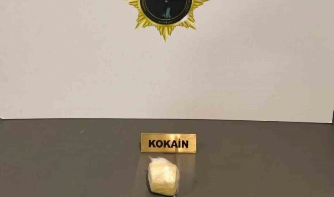 Samsun’da 100 gram kokainle yakalanan genç kadın, hakim karşısına çıkarılarak tutuklandı. Samsun'da, narkotik ekiplerinin takibi sonucu Z.A. (24) adlı kadın, 100