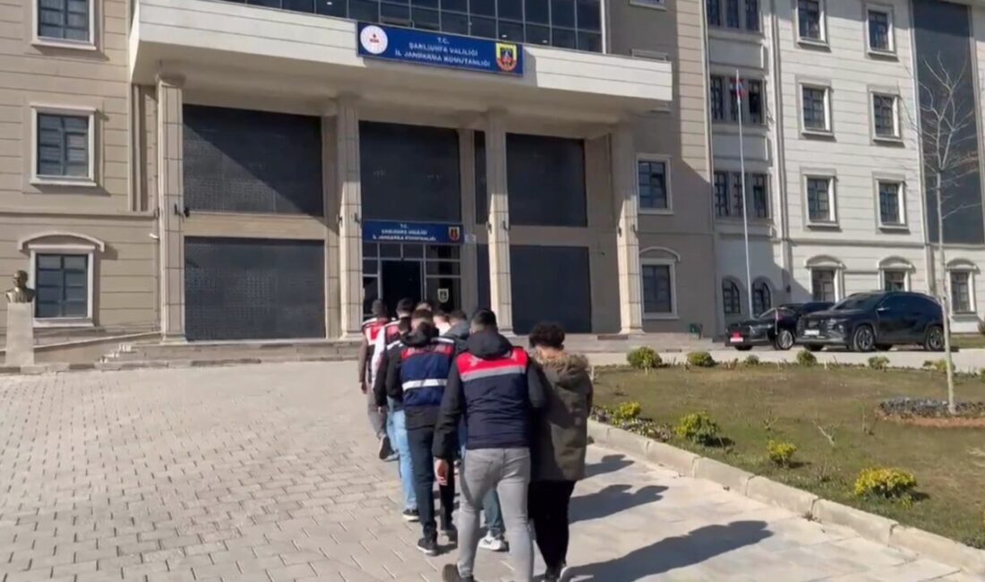 Şanlıurfa ve Gaziantep’te bilişim dolandırıcılığına yönelik operasyonda 6 kişi gözaltına alındı. Şanlıurfa ve Gaziantep'te gerçekleştirilen dolandırıcılık operasyonunda, Jandarma ekipleri 6 şüpheliyi