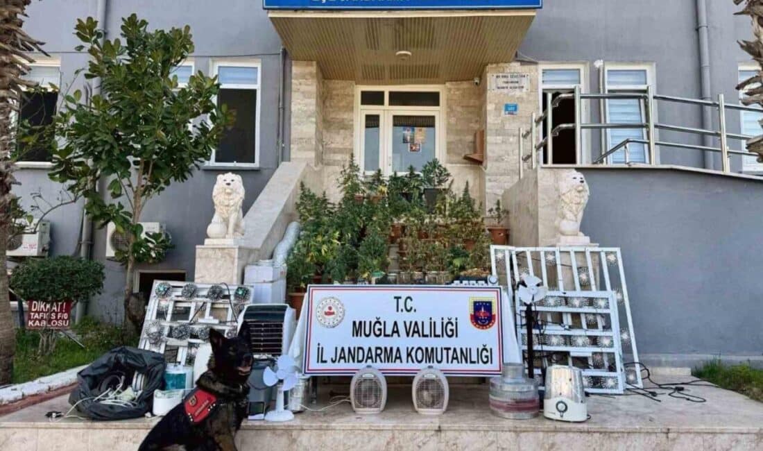 Muğla’da Uyuşturucu Operasyonu: Jandarma, Ortaköy Mahallesi’nde 2.450 Gram Skunk ve Silah Buldu Muğla'nın Seydikemer ilçesinde Ü.A.'nın evinde jandarma ekipleri tarafından gerçekleştirilen operasyonda