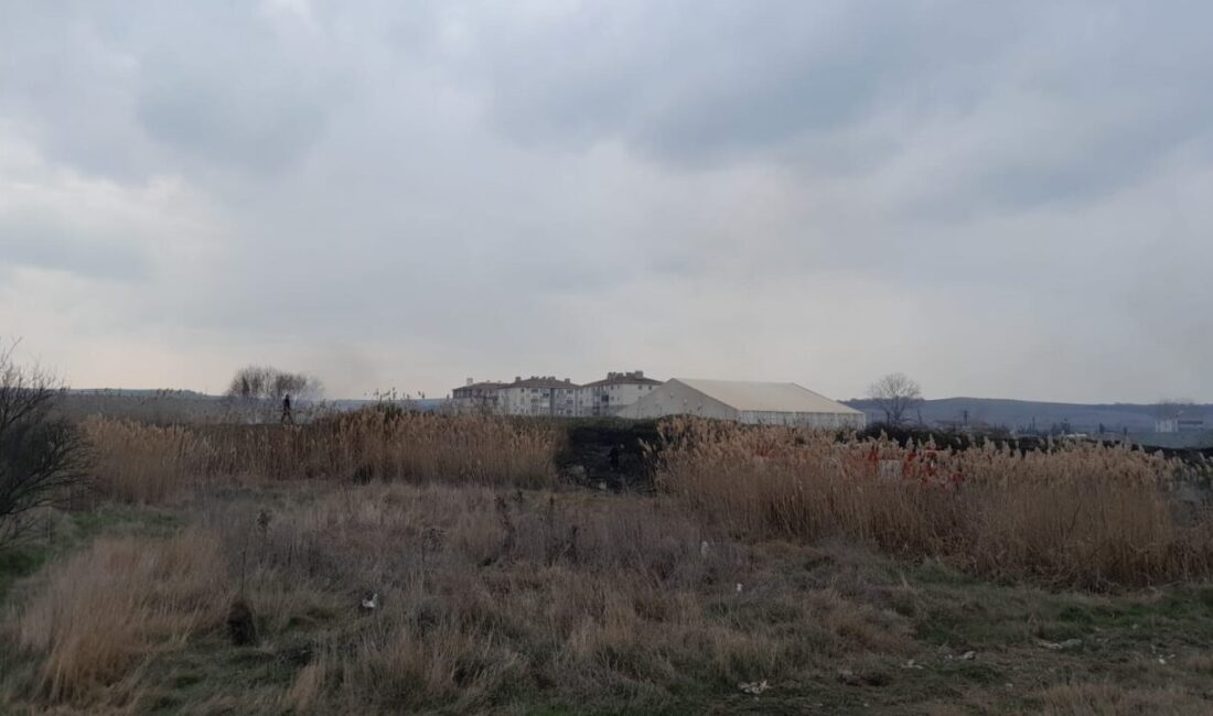Muratlı’da Otluk Alanda Çıkan Yangın İtfaiye Tarafından Kontrol Altına Alındı, Bir Kişi Gözaltına Alındı Muratlı ilçesinde Muradiye Mahallesi'nde çıkan otluk alan yangını, itfaiye ekipleri