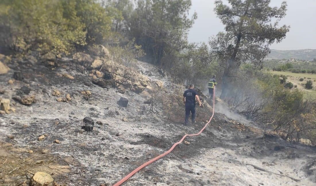 Hatay’da ormanlık alanda çıkan örtü yangını itfaiye ekipleri tarafından başarıyla söndürüldü. Hatay'da, Yayladağı ilçesi Şenköy Mahallesi'nde ormanlık alanda çıkan örtü yangını,