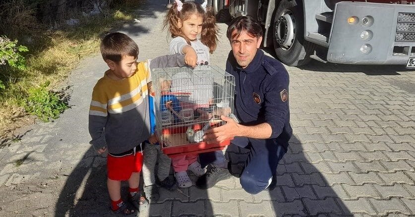 Hatay’da ağaçta sıkışan papağan, itfaiye tarafından kurtarılarak sahiplerine ulaştırıldı. Hatay'ın Arsuz ilçesinde, kafesinden kaçan bir papağan, ağaçta mahsur kaldı.