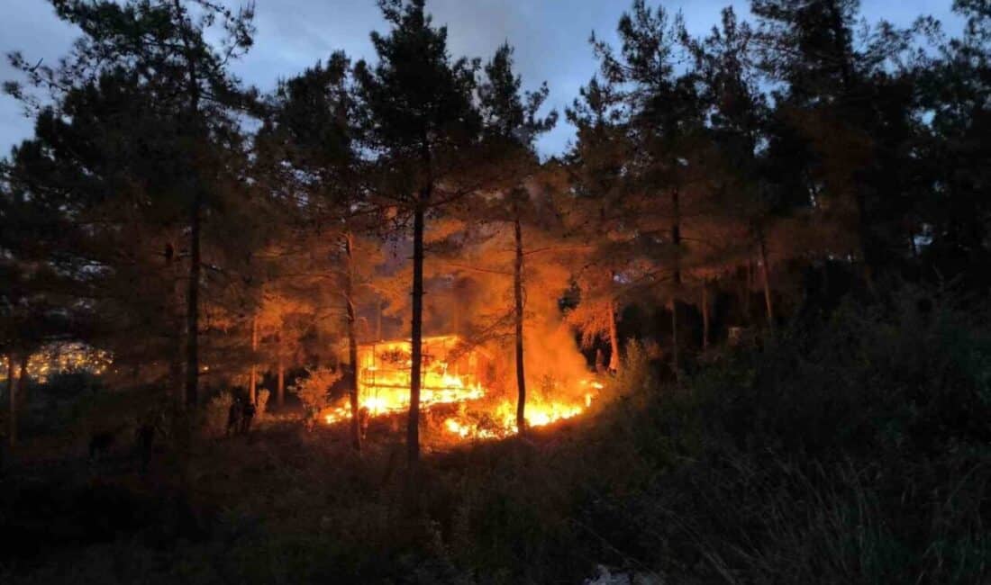 Hatay’da ormana ulaşmadan söndürülen baraka yangını büyük paniğe neden oldu. Hatay'da Dörtyol ilçesindeki ahşap barakada çıkan yangın, ormana sıçramadan kontrol