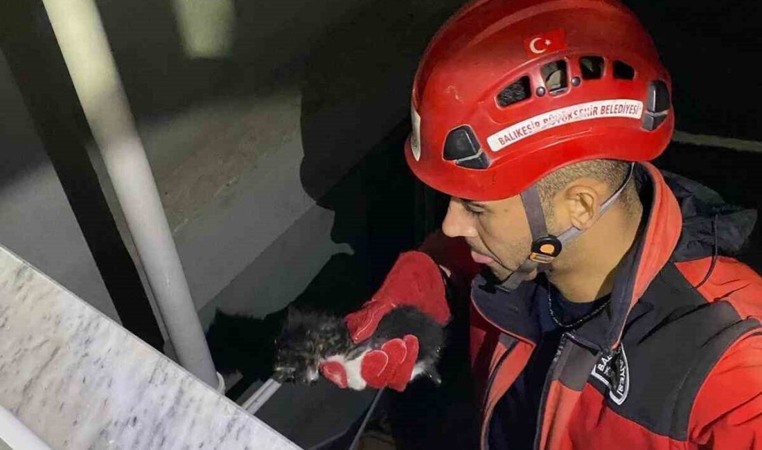 Gömeç İtfaiyesi, Apartmanın Boşluğuna Düşen Yavru Kediyi Kurtardı Gömeç İtfaiye Grup Amirliği, Kemalpaşa Mahallesi'ndeki bir apartmanın boşluğuna düşen