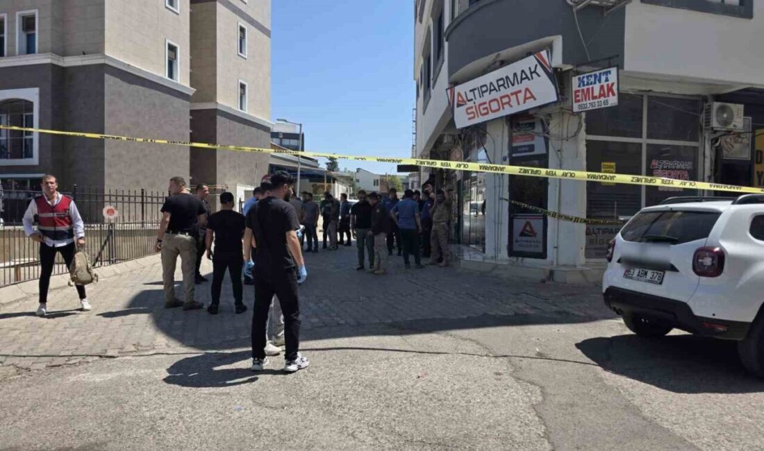 Şanlıurfa'nın Siverek ilçesinde adliyeden çıkan Yılmaz S. ve Necati S.