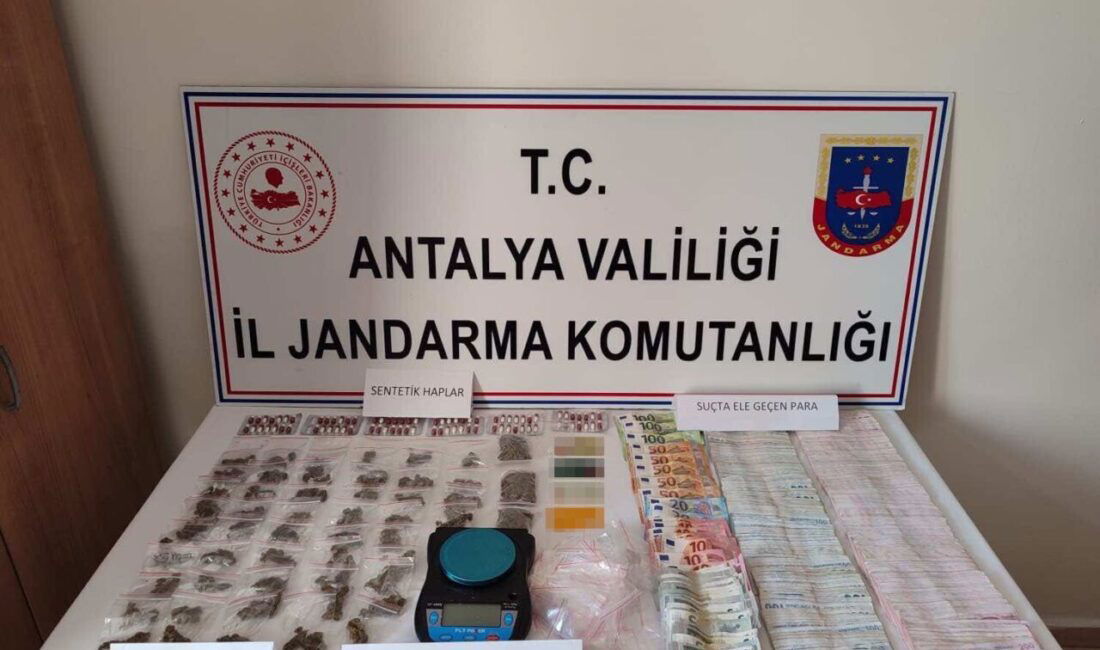 Antalya'nın Alanya ve Manavgat ilçelerinde gerçekleştirilen operasyonda, jandarma ekipleri 6