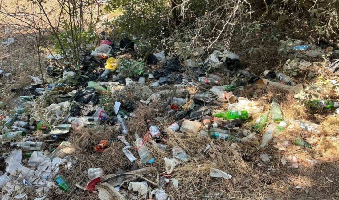 Bilecik'in Bahçelievler Mahallesi'nde alkol alan kişiler, ormanlık alanı çöplüğe çevirmesiyle