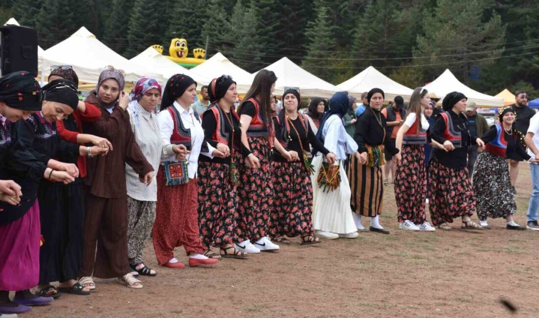 Sakarya’nın Hendek ilçesindeki Çiğdem Yaylası’nda bu yıl 87’incisi düzenlenen şenlik,