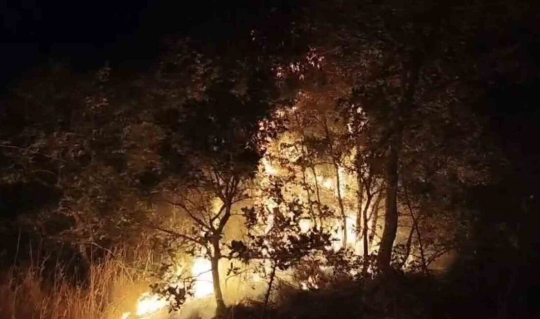Balıkesir Gaziosmanpaşa Mahallesi'ndeki şehir çöplüğünde başlayan yangın, çevredeki ağaç ve