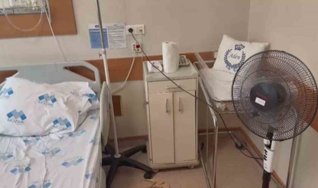 Hatay'da Özel Mozaik Hastanesi'nde doğum için 46 bin 400 TL