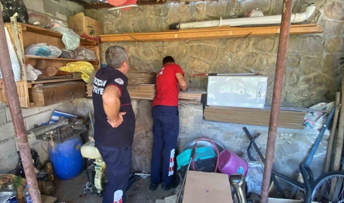 Erzincan'da bir kedi yavrusu, Yaylabaşı Alsancak Mahallesi'nde bulunan istinat duvarındaki