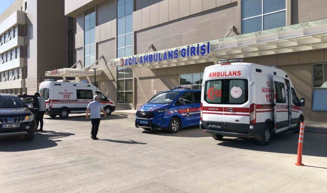 Erzincan'ın Refahiye ilçesinde, N.S.'nin kullandığı otomobil kontrolü kaybedip dereye düştü