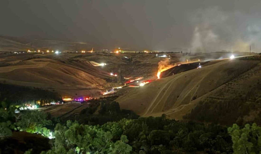 Ankara'nın Gölbaşı Karataş Mahallesi'ndeki ormanlık alanda yangın çıktı. İhbar üzerine