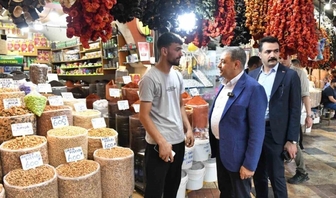 Şanlıurfa Valisi Hasan Şıldak, Haşimiye Meydanı ve Balıklıgöl çevresindeki gıda