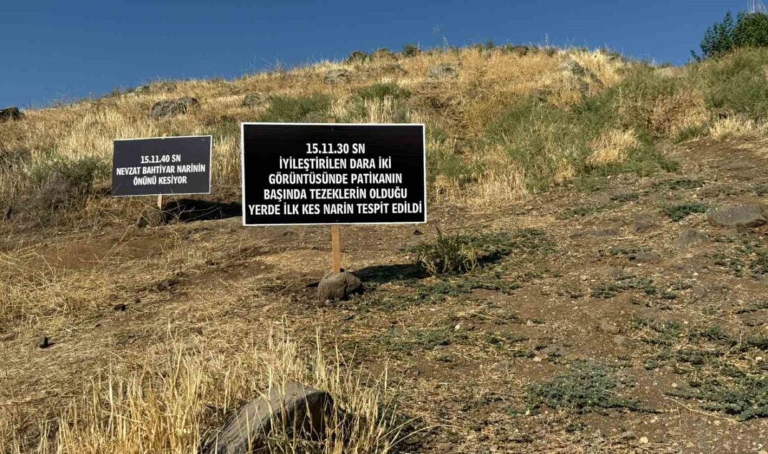 Diyarbakır Bağlar'da kaybolan 8 yaşındaki Narin Güran'ın cesedi, 19 gün