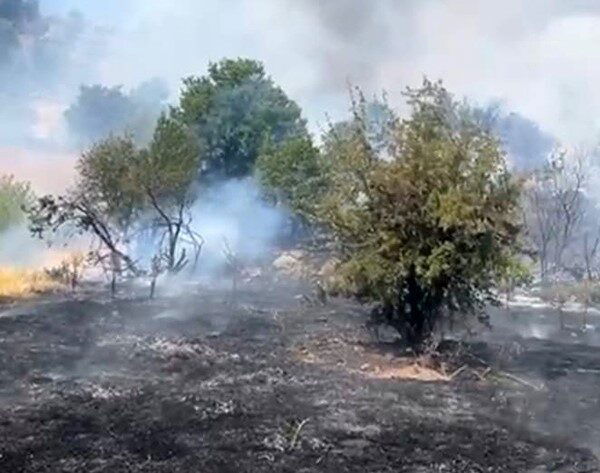 Malatya'nın Doğanyol ilçesindeki Yalınca mevkiinde ormanlık alanda çıkan yangın hızlı