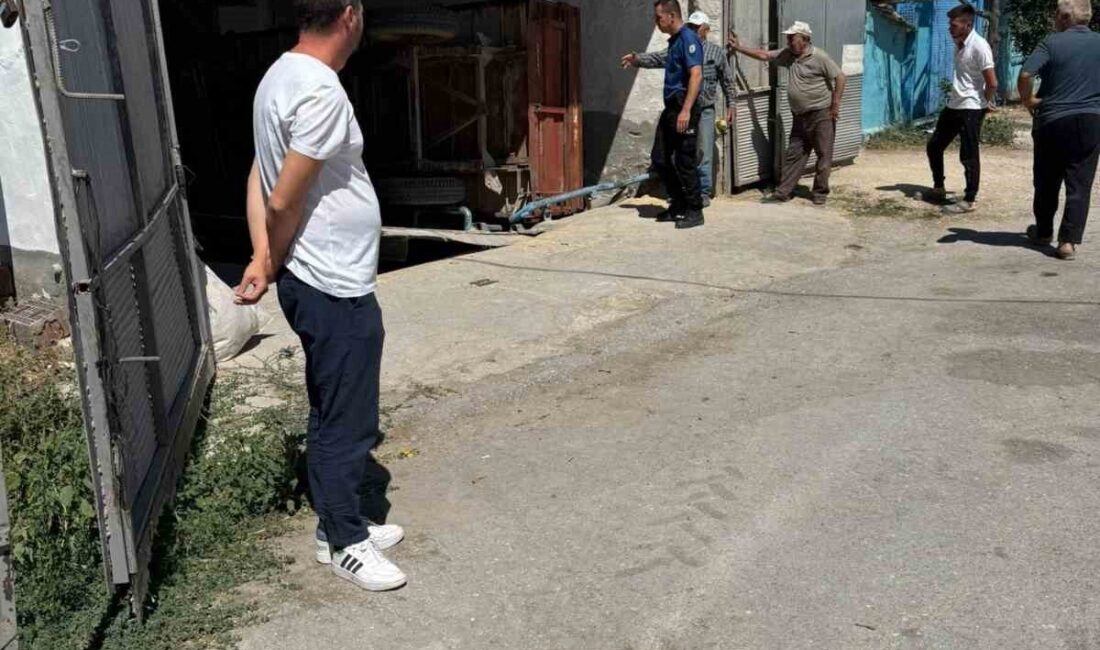 Eskişehir'in Beylikova ilçesinde bir işçi, arpa indirirken dengesini kaybedip yem
